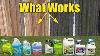 Deck And Fence Cleaners Review Mold Mildew Algae Pressure Washing Pre Wash