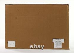 Laveuse haute pression 21V et nettoyeur portable sans fil 30Bar 435 PSI électrique